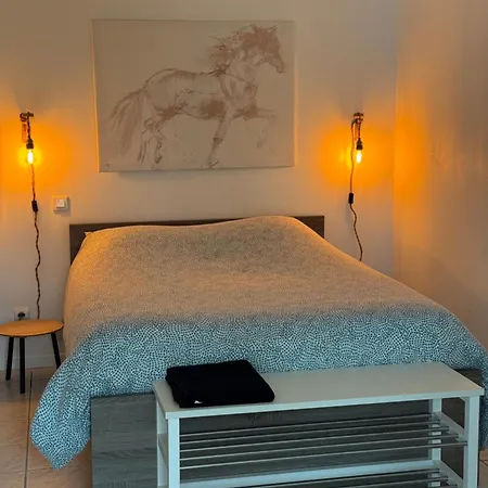 Au Chevaleins Apartamento Chaleins