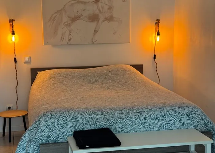 Au Chevaleins Apartamento Chaleins